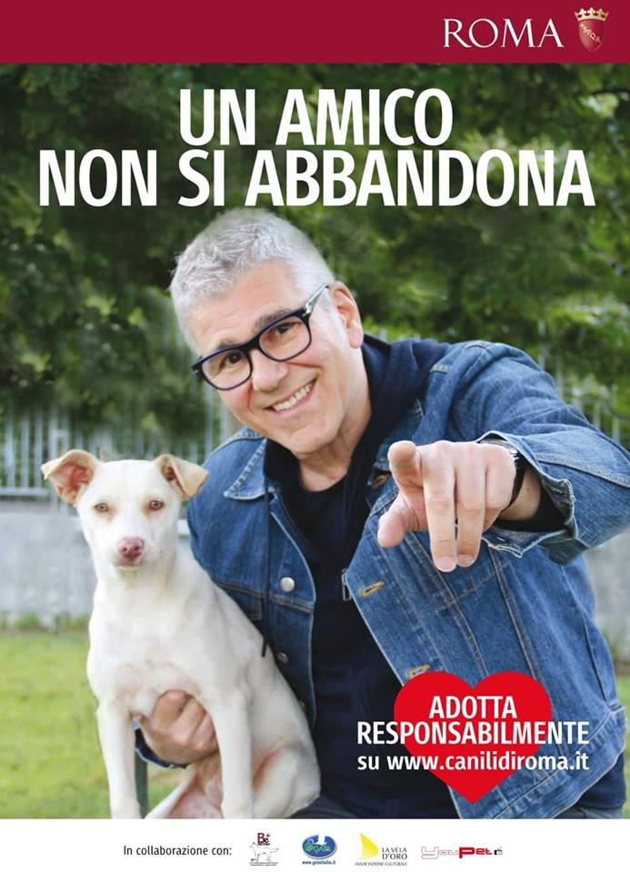 2. zarrillo 6713538_896581687201763_8701032042894196736_n